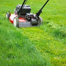 Dependable Lawn Care