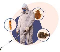 Stony Plain Pest Control