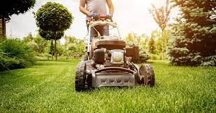 Dependable Lawn Care