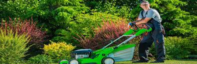 Andrade & Sons lawn care