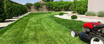 Nutri-Lawn Ottawa Ecology Friendly Lawn Care