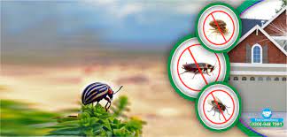 Trampas Pest Control Solutions Inc.
