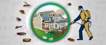 Exterminators Edmonton