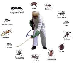 Southland Pest Control