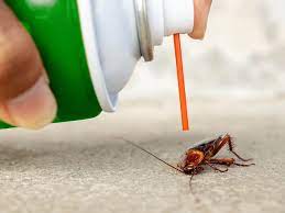 Pestica Green Pest Control Calgary