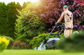 Cameron Landscaping Inc