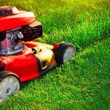 Lawn & Beyond Property Maintenance