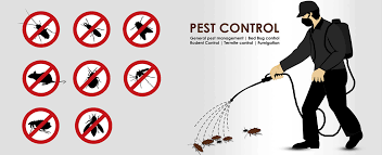 Trampas Pest Control Solutions Inc.