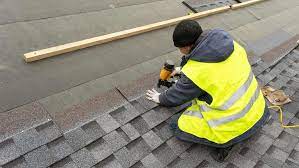 Sunik Roofing